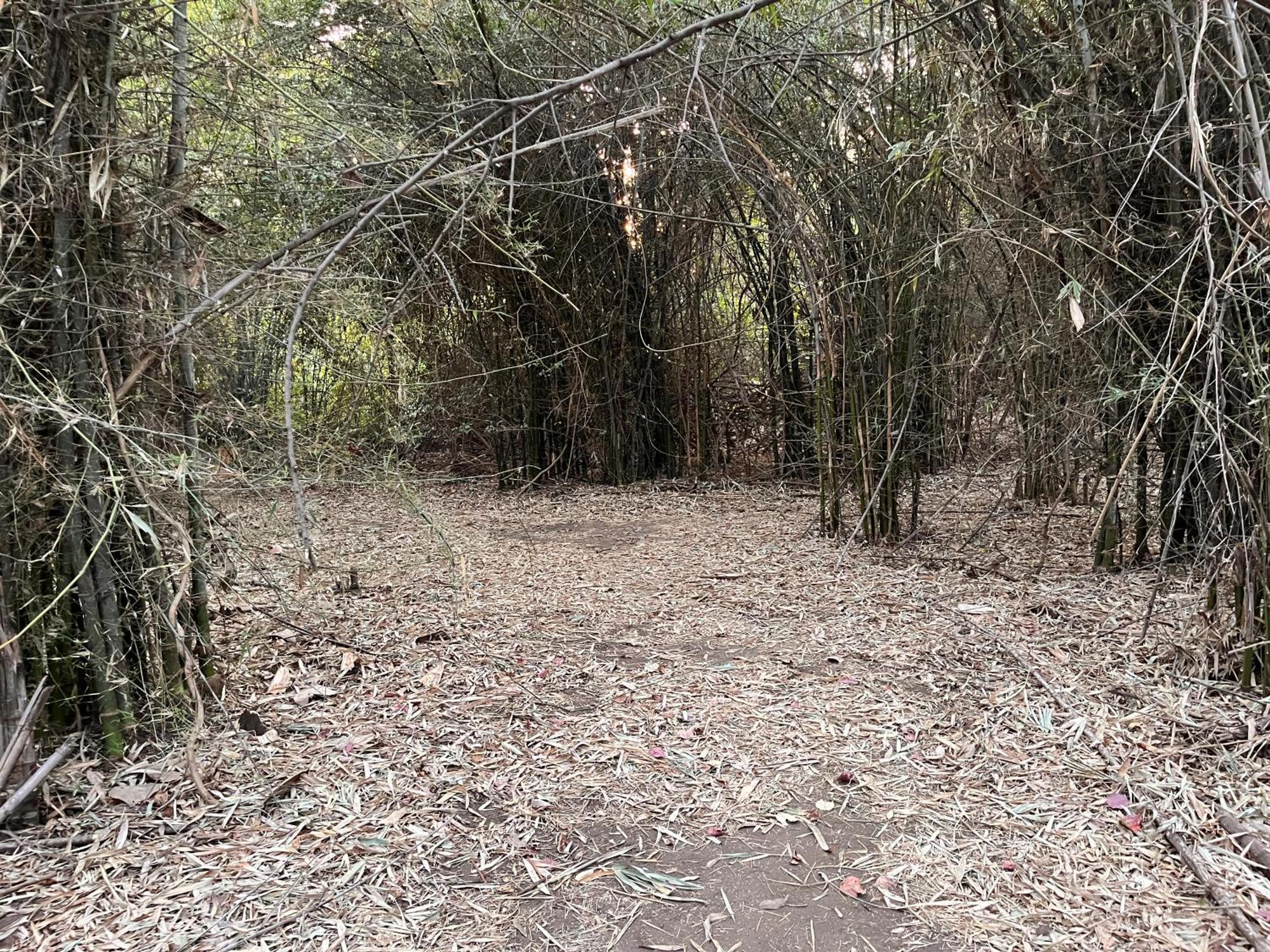 Brook Ville Sasan Gir Dış mekan fotoğraf