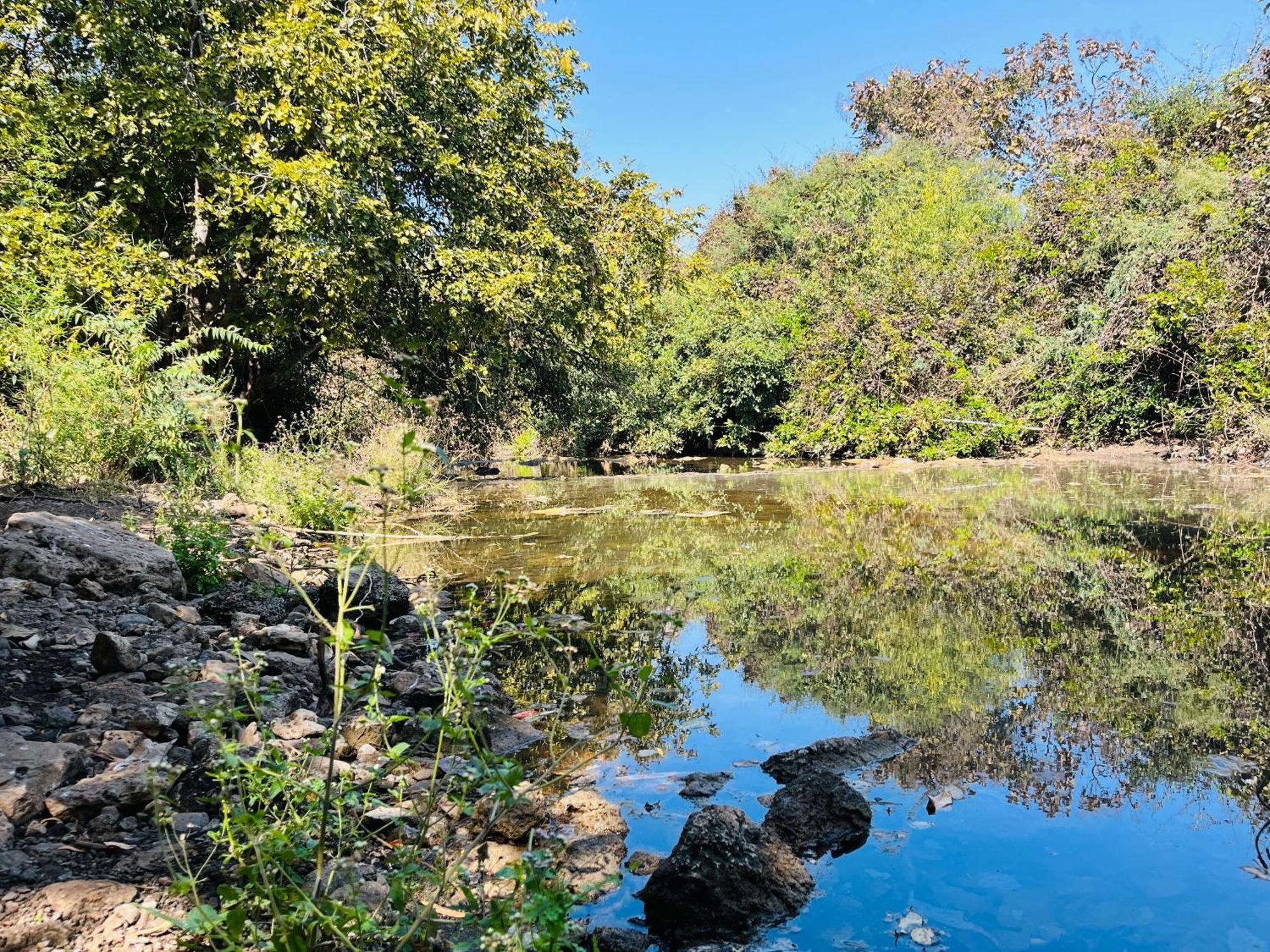 Brook Ville Sasan Gir Dış mekan fotoğraf