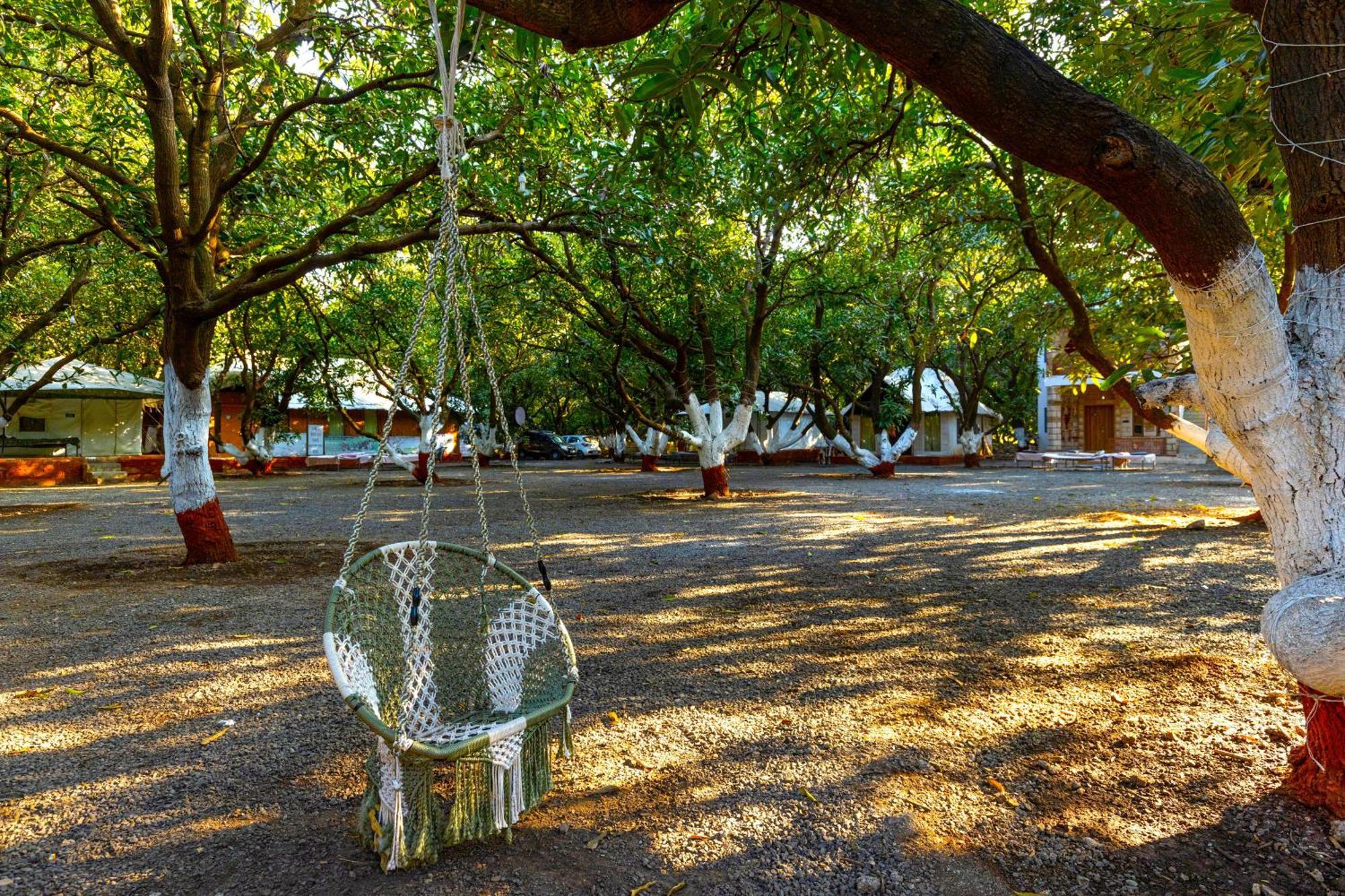 Brook Ville Sasan Gir Dış mekan fotoğraf
