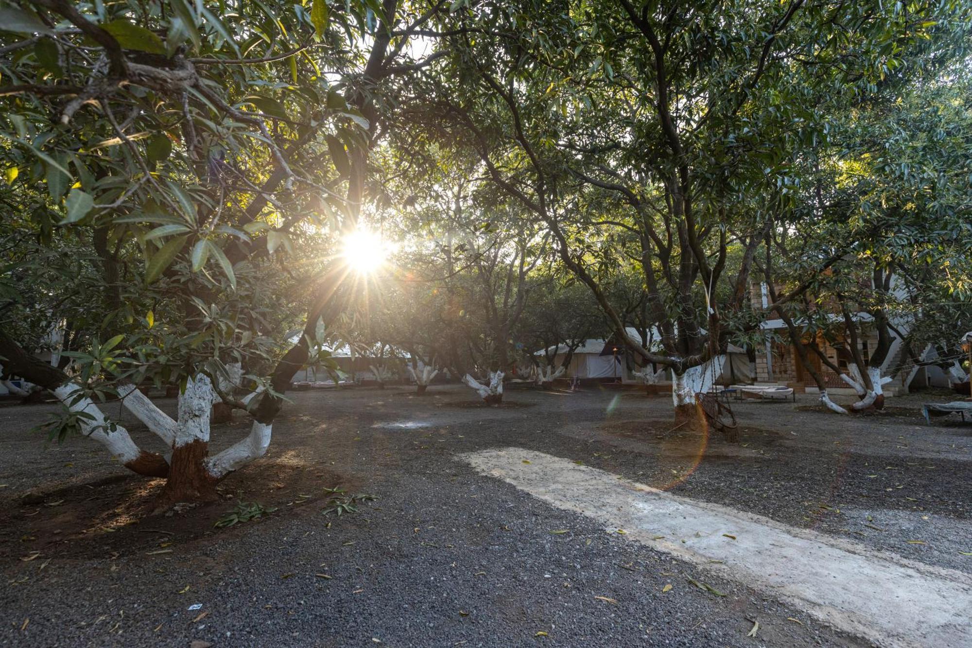 Brook Ville Sasan Gir Dış mekan fotoğraf