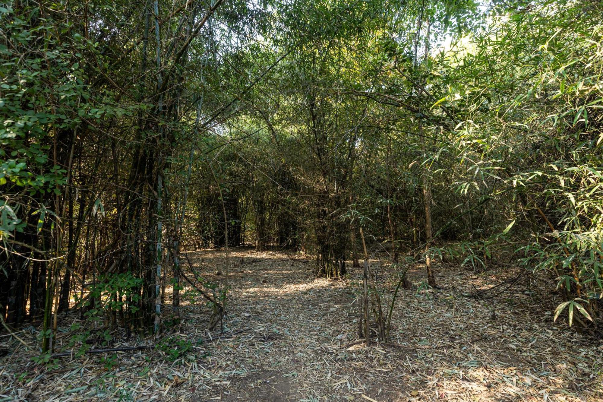 Brook Ville Sasan Gir Dış mekan fotoğraf