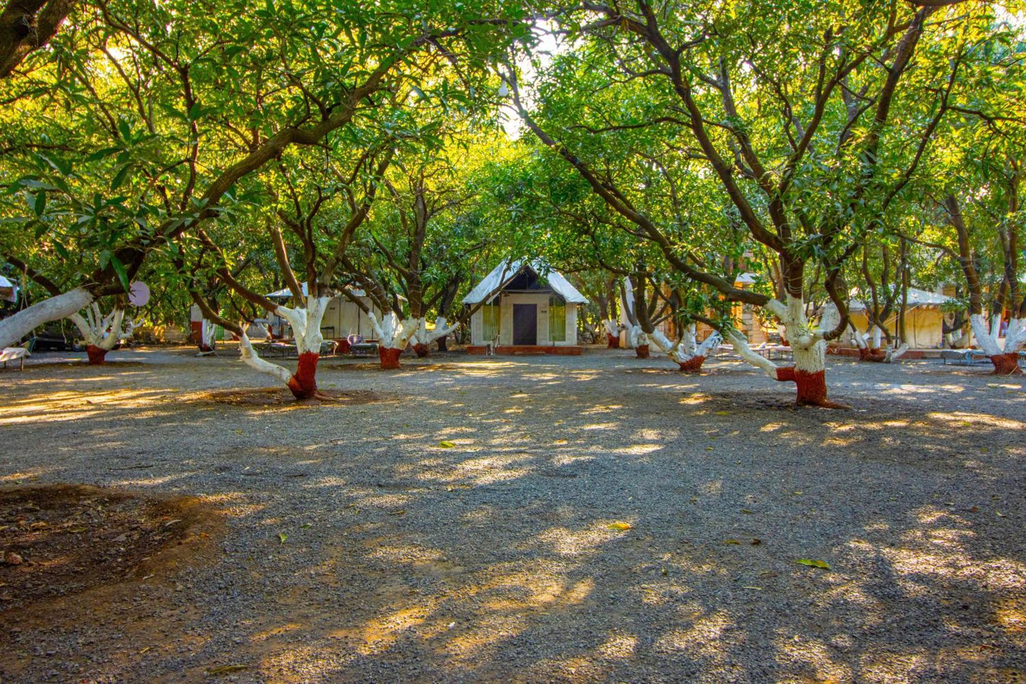 Brook Ville Sasan Gir Dış mekan fotoğraf