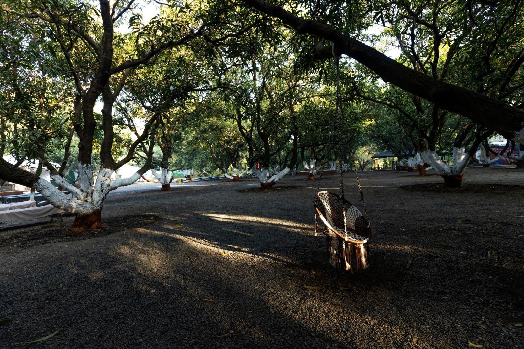 Brook Ville Sasan Gir Dış mekan fotoğraf